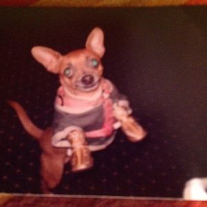 Meet your Posher, Pat